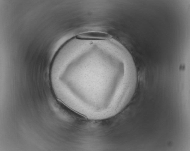 X0000110710148200907022031