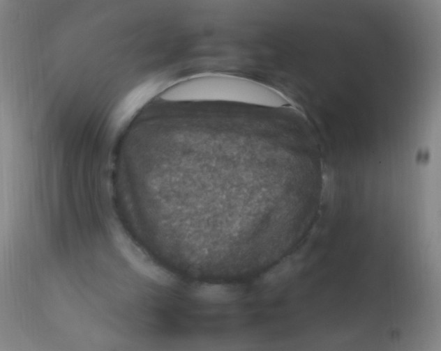 X0000110710149200907022031