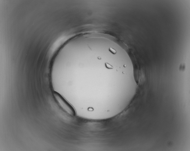 X0000110710150200907022031