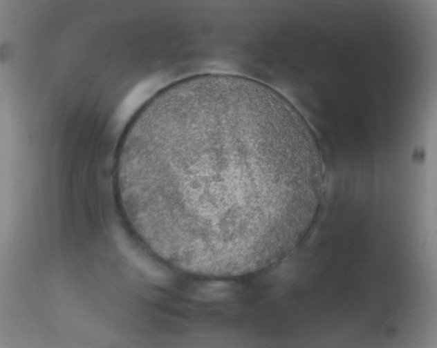 X0000110710151200907022031