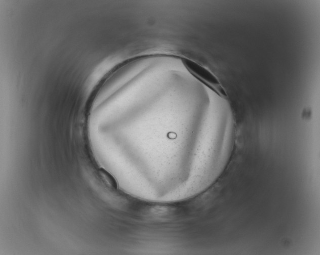 X0000110710152200907022031