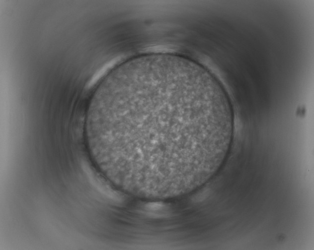 X0000110710153200907022031