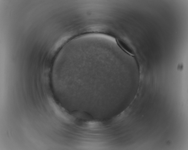 X0000110710154200907022031