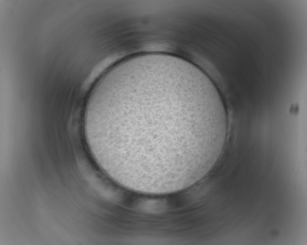 X0000110710155200907022031