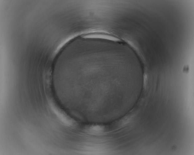 X0000110710156200907022031