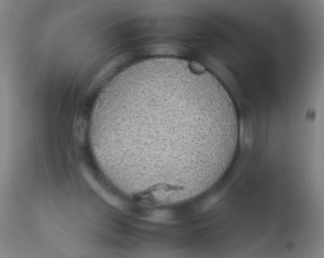 X0000110710157200907022031