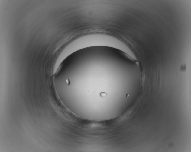 X0000110710158200907022031