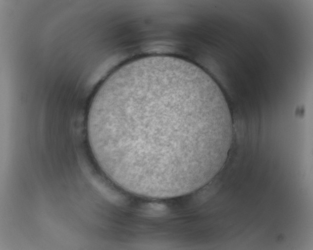 X0000110710159200907022031