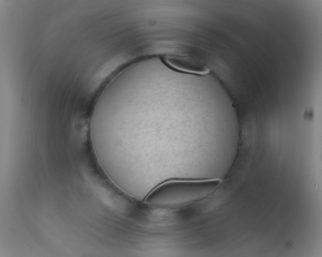 X0000110710160200907022031