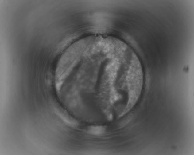 X0000110710161200907022031