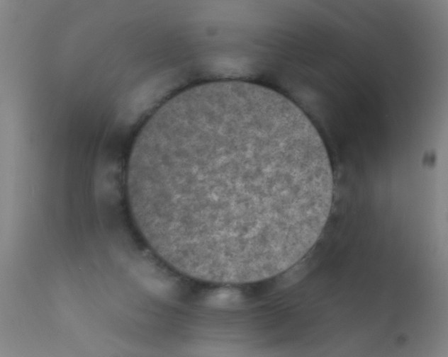 X0000110710162200907022031