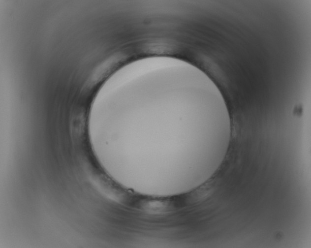 X0000110710163200907022031