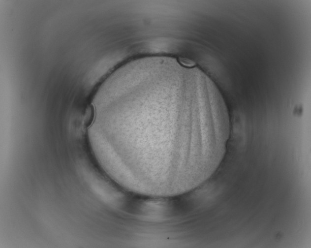 X0000110710164200907022031