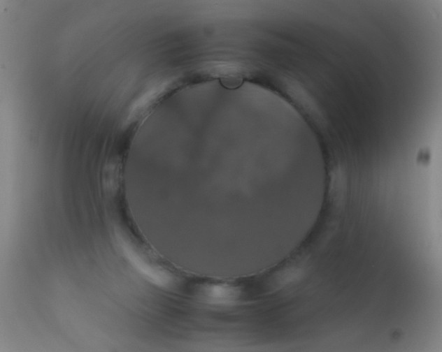 X0000110710165200907022031