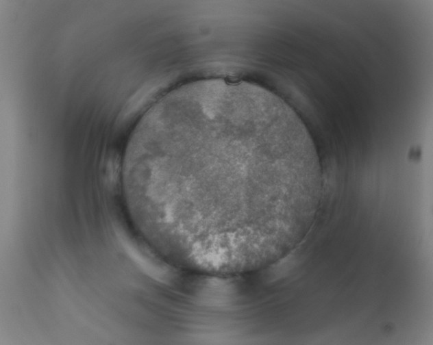 X0000110710166200907022031