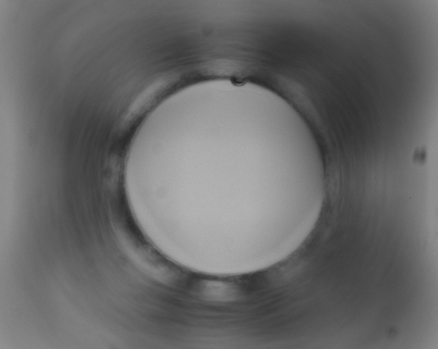 X0000110710167200907022031