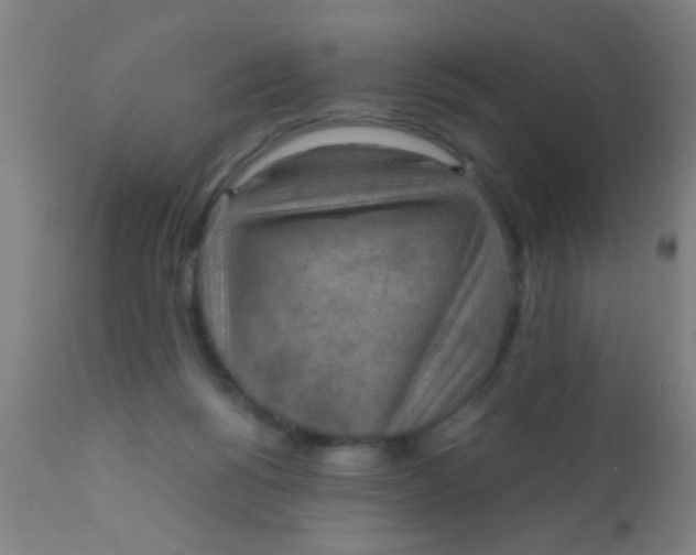 X0000110710168200907022031