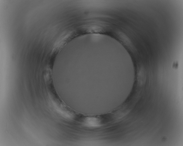 X0000110710169200907022031