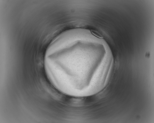 X0000110710170200907022031