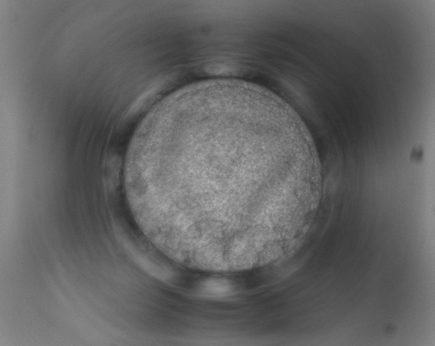 X0000110710171200907022031