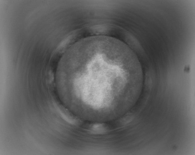 X0000110710173200907022031