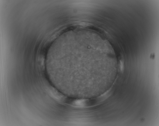 X0000110710178200907022031