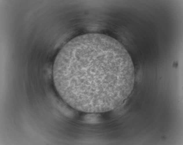 X0000110710179200907022031