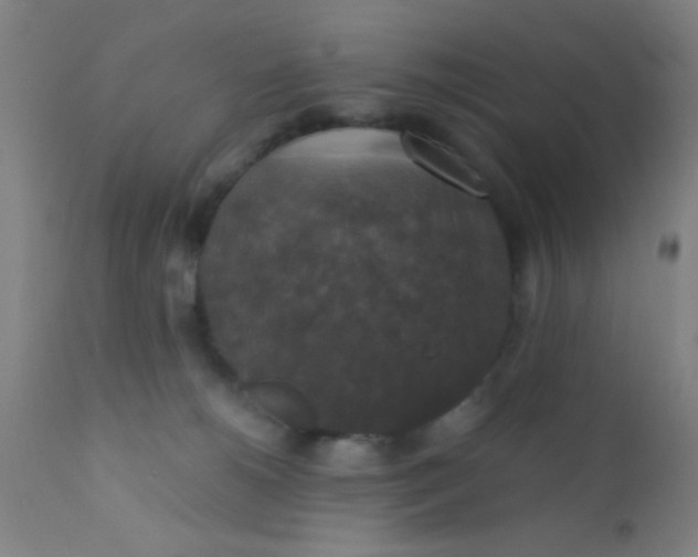 X0000110710180200907022031