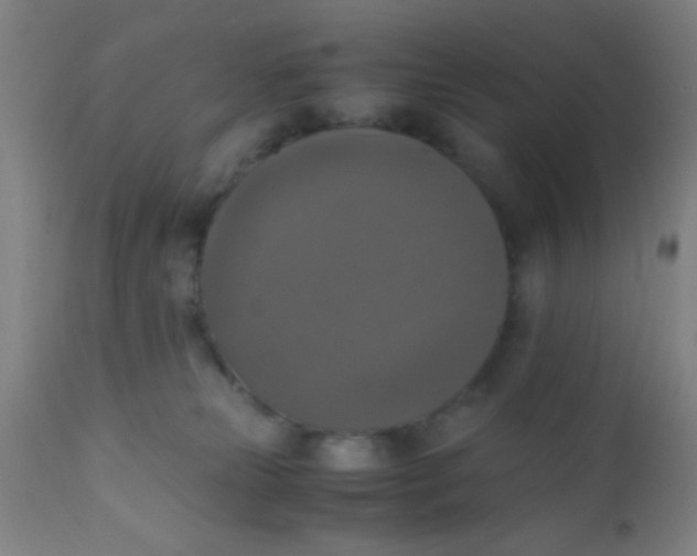 X0000110710181200907022031