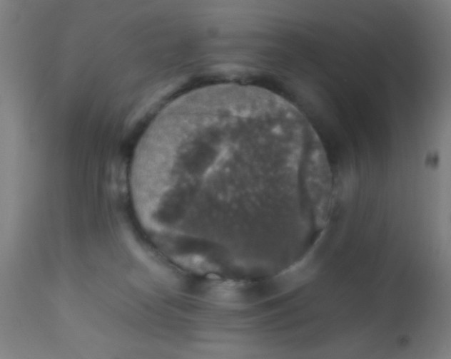 X0000110710182200907022031