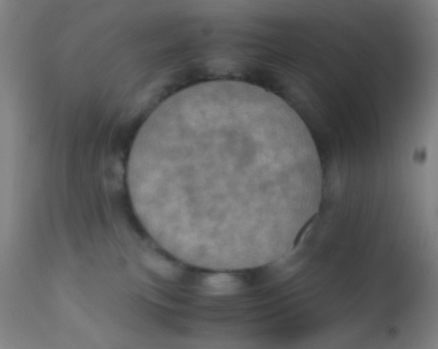 X0000110710183200907022031