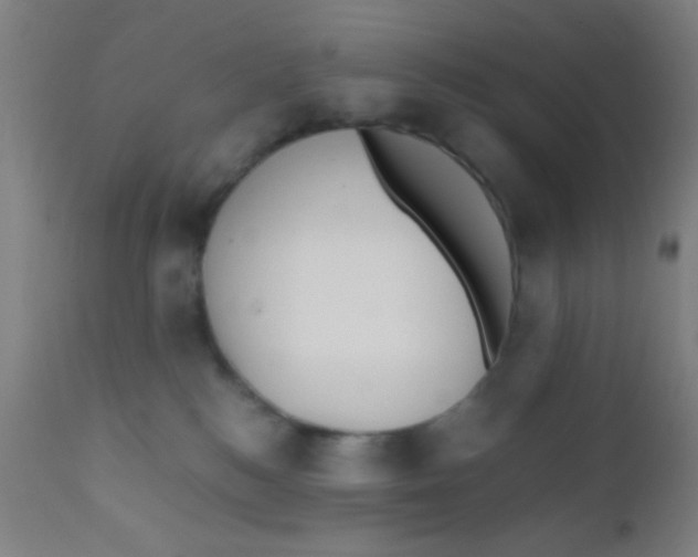 X0000110710184200907022031