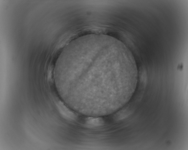 X0000110710185200907022031