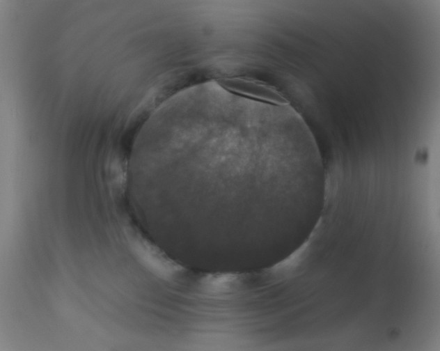 X0000110710186200907022031