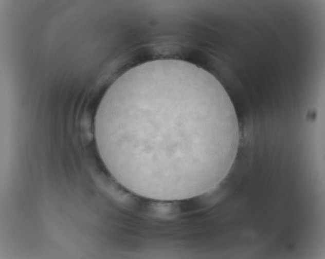 X0000110710187200907022031