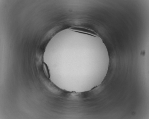 X0000110710188200907022031