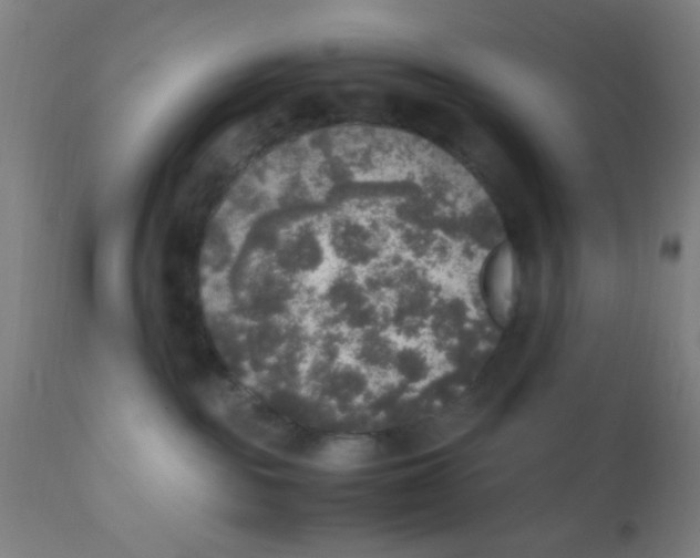 X0000110710189200907022031