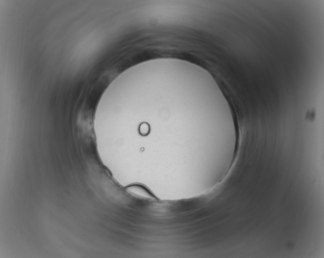 X0000110710190200907022031