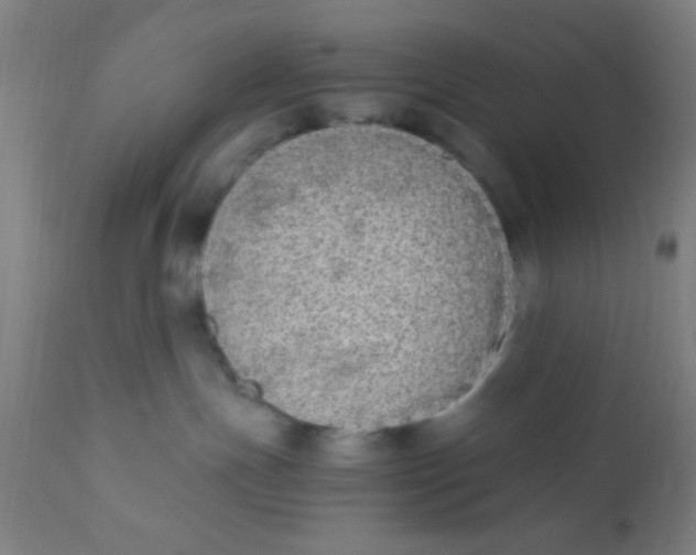 X0000110710191200907022031