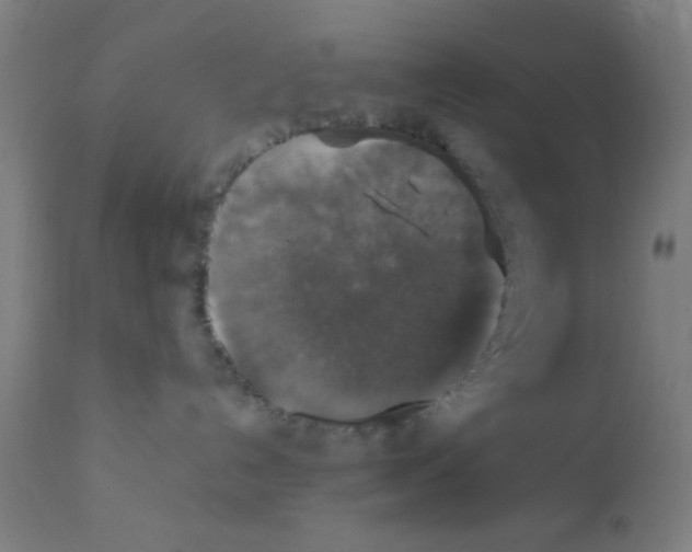 X0000110710192200907022031