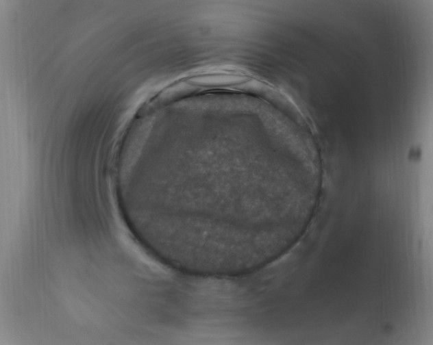 X0000110710193200907022031