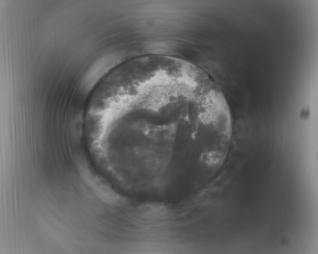 X0000110710194200907022031