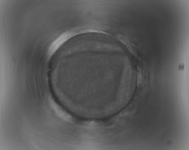 X0000110710197200907022031