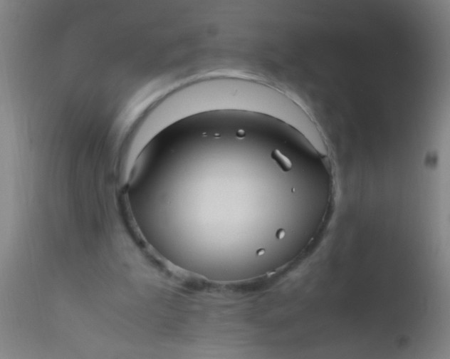 X0000110710199200907022031