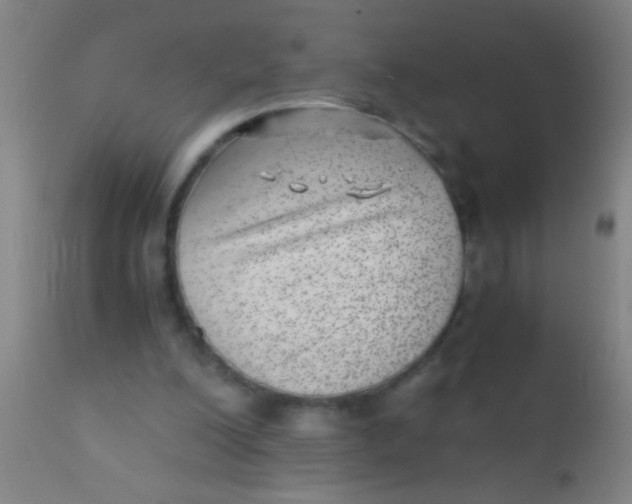 X0000110710200200907022031