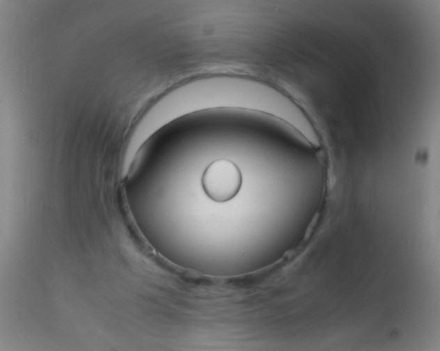 X0000110710201200907022031