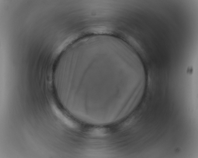 X0000110710202200907022031