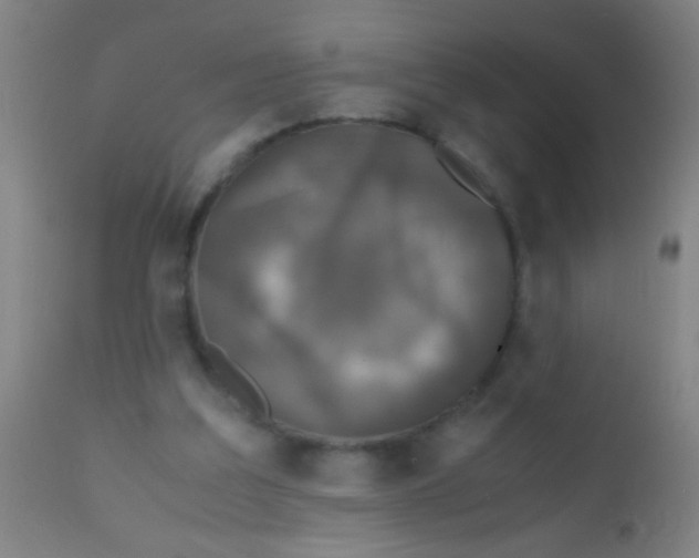 X0000110710203200907022031