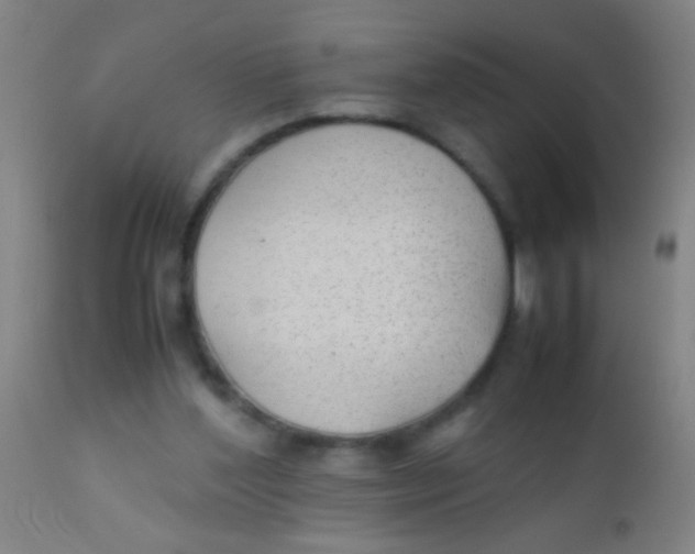 X0000110710204200907022031