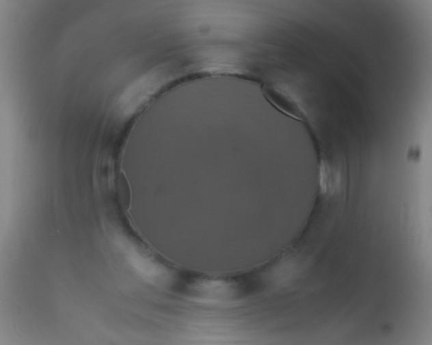 X0000110710205200907022031